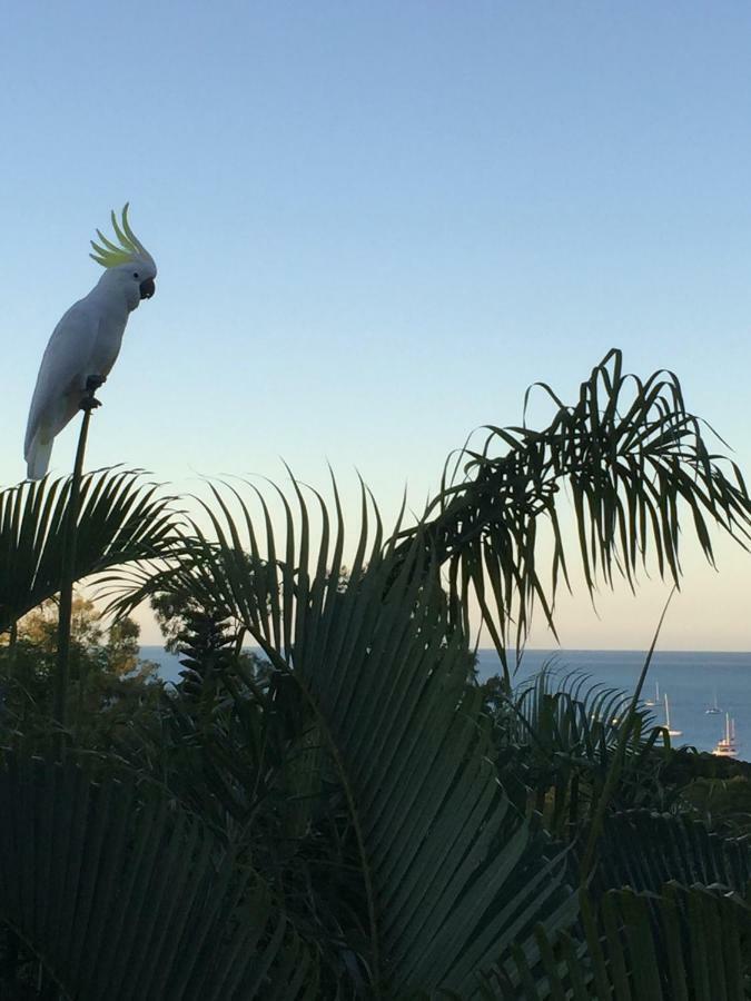 Island Views Bed & Breakfast Airlie Beach Dış mekan fotoğraf
