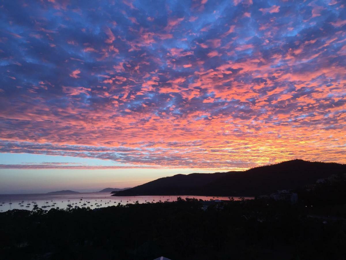 Island Views Bed & Breakfast Airlie Beach Dış mekan fotoğraf